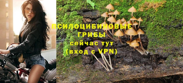 МДМА Алексеевка